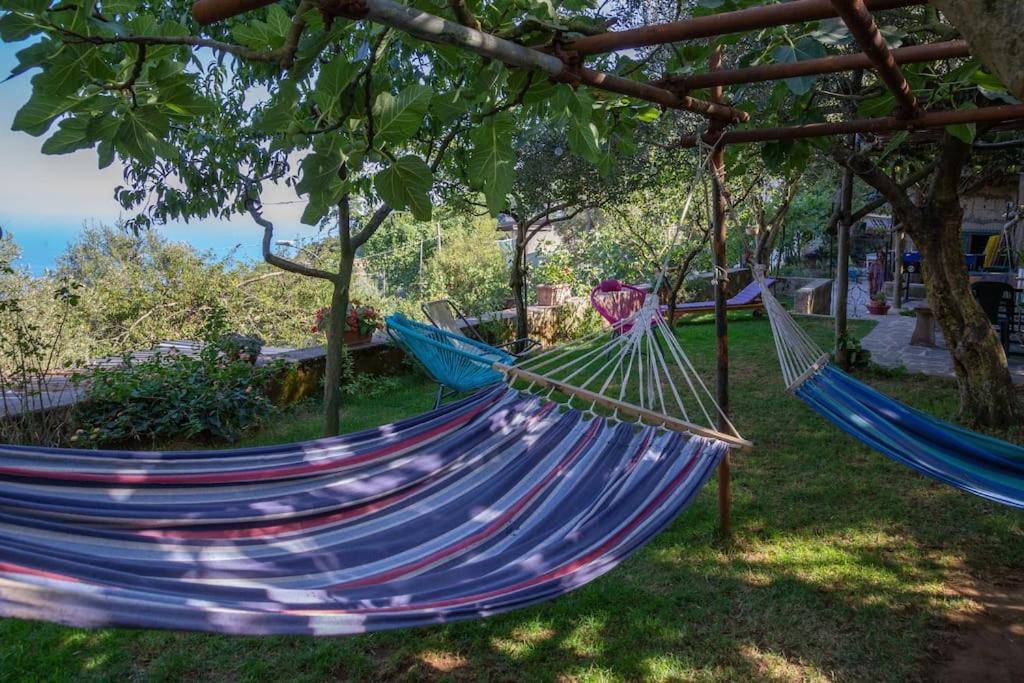 Amalfi Coast, Positano, Sorrento, Capri, Garden, Villa Carcara Colli di Fontanelle Экстерьер фото